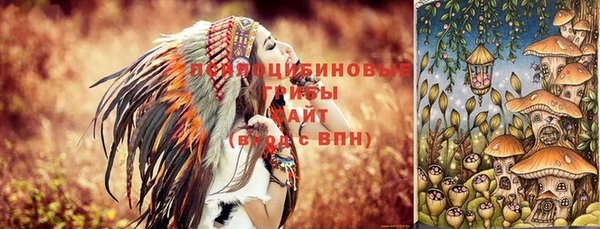 Альфа ПВП Белокуриха