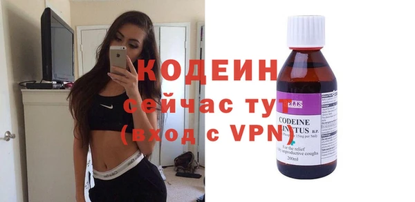 гашик Няндома