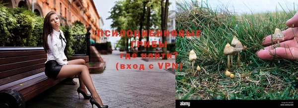 Альфа ПВП Белокуриха