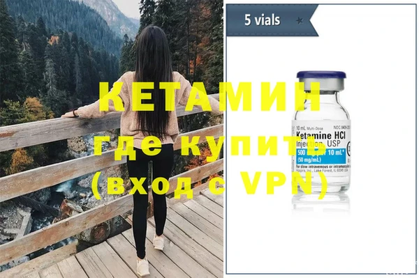 гашик Няндома