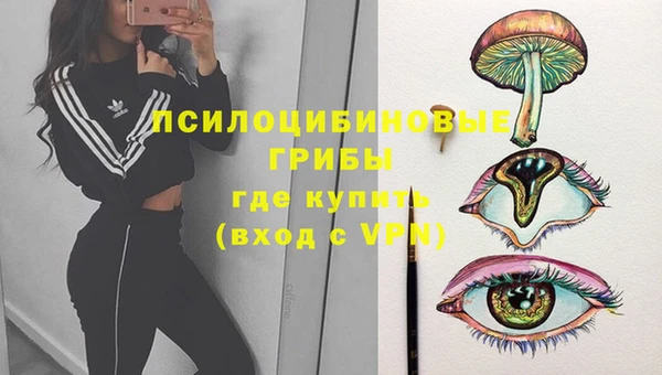 Альфа ПВП Белокуриха